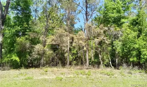 1275 W Union St, Hernando, FL 34442