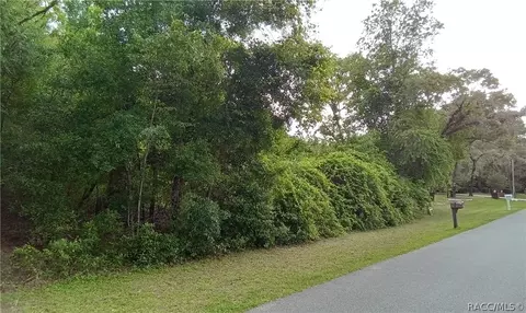 288 S Highview Ave, Lecanto, FL 34461