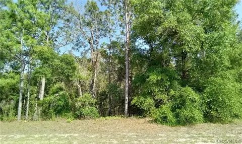 10311 N Elkcam Blvd, Citrus Springs, FL 34433