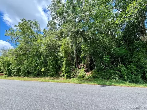 6 Jungleplum Ct S, Homosassa, FL 34446