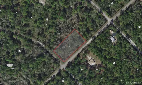 11435 N Cockscomb Dr, Crystal River, FL 34428