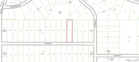 1251 E Getty Ln, Hernando, FL 34442