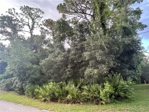 1251 E Getty Ln, Hernando, FL 34442 photo 15