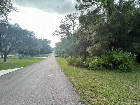 1251 E Getty Ln, Hernando, FL 34442 photo 12