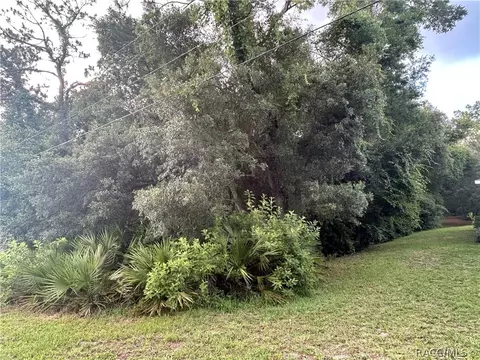 1251 E Getty Ln, Hernando, FL 34442 photo 13