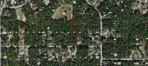 1251 E Getty Ln, Hernando, FL 34442 photo 3