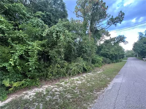1251 E Getty Ln, Hernando, FL 34442 photo 18