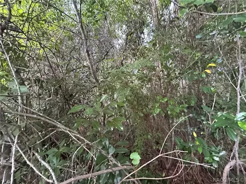1251 E Getty Ln, Hernando, FL 34442 photo 8