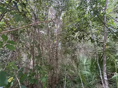 1251 E Getty Ln, Hernando, FL 34442 photo 9