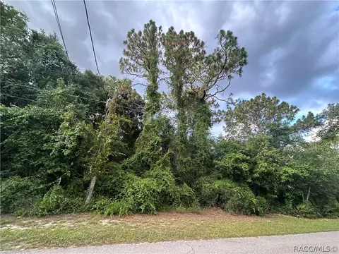 1251 E Getty Ln, Hernando, FL 34442 photo 17