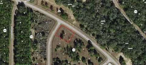 8877 N Elida Ave, Dunnellon, FL 34434