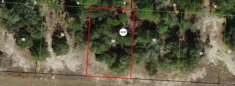 1829 W Corrine St, Dunnellon, FL 34434