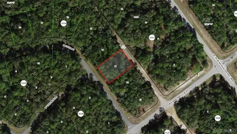 11064 N Edith Pt, Citrus Springs, FL 34434