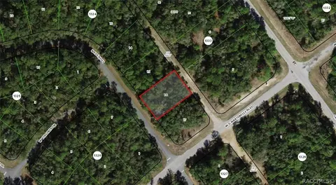 11068 N Edith Pt, Citrus Springs, FL 34434