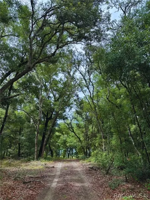 Tbd SW 69th Place, Dunnellon, FL 34431