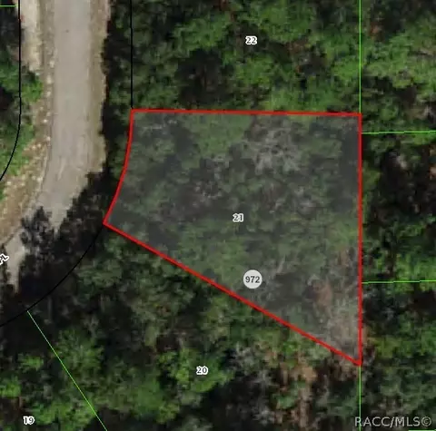 732 W Hauger Pl, Citrus Springs, FL 34434