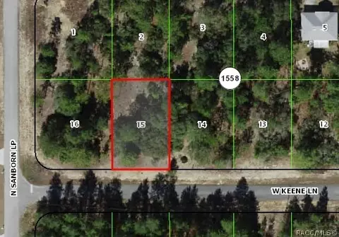 3895 W Keene Ln, Citrus Springs, FL 34433