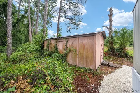 4250 E Fort Apache Pl, Dunnellon, FL 34434 photo 23