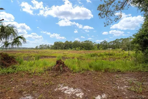 4250 E Fort Apache Pl, Dunnellon, FL 34434 photo 24