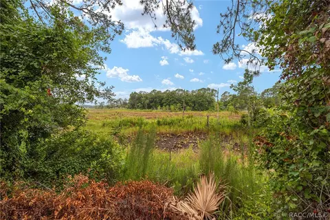 4250 E Fort Apache Pl, Dunnellon, FL 34434 photo 25