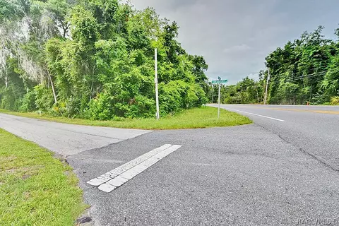 7188 N Florida Ave, Hernando, FL 34442 photo 5