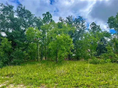 1 Hackberry Dr, Homosassa, FL 34446