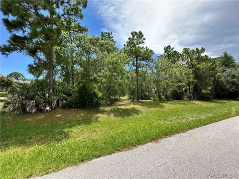 3951 N Grayhawk Loop, Lecanto, FL 34461 photo 3