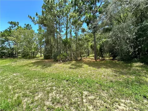 3951 N Grayhawk Loop, Lecanto, FL 34461 photo 2