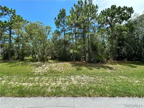 3951 N Grayhawk Loop, Lecanto, FL 34461 photo 4