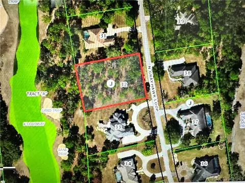 3951 N Grayhawk Loop, Lecanto, FL 34461 photo 6