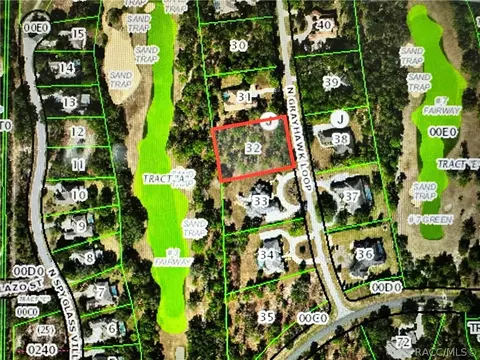 3951 N Grayhawk Loop, Lecanto, FL 34461 photo 5