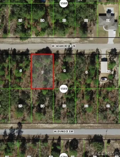 3478 W Seahorse Ln, Citrus Springs, FL 34433