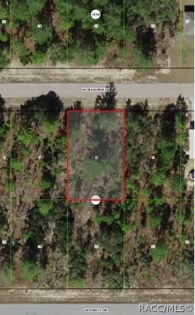 3466 W Seahorse Ln, Citrus Springs, FL 34433