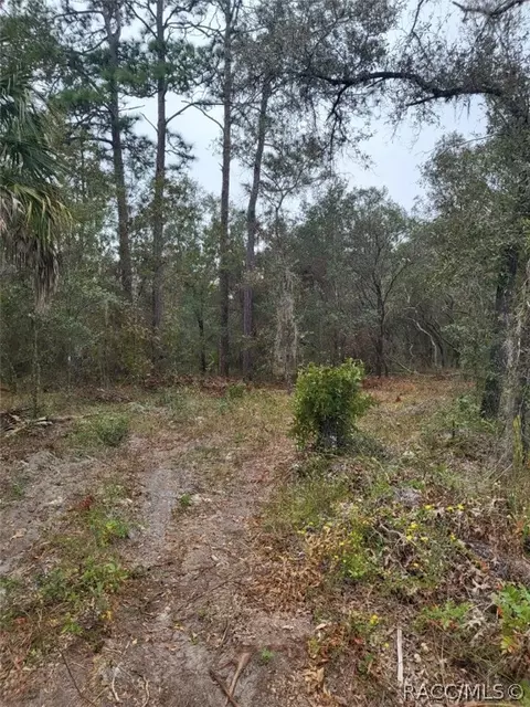 Nn 125th Court, Dunnellon, FL 34431