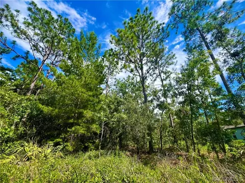 19 Sanders Cir, Homosassa, FL 34446