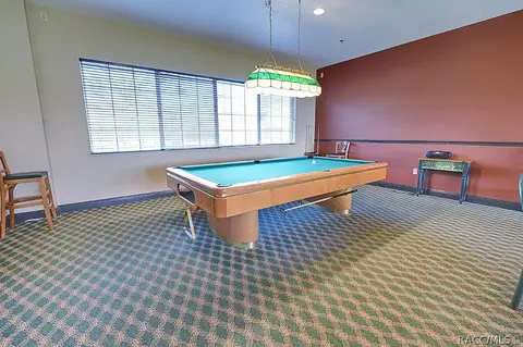 116 E Falconry Ct, Hernando, FL 34442 photo 78