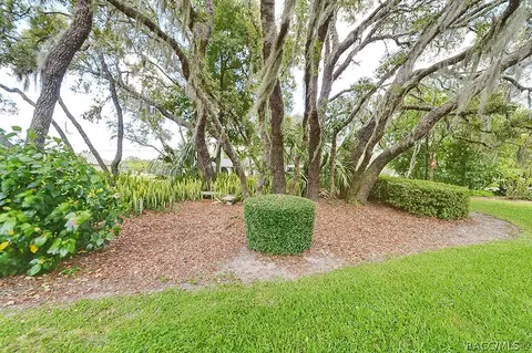 116 E Falconry Ct, Hernando, FL 34442 photo 81