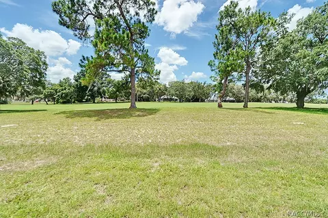 116 E Falconry Ct, Hernando, FL 34442 photo 54