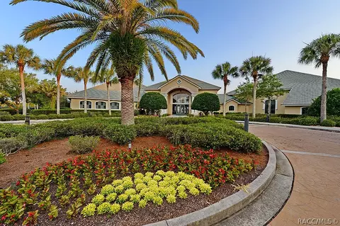 116 E Falconry Ct, Hernando, FL 34442 photo 71