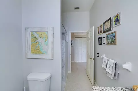 116 E Falconry Ct, Hernando, FL 34442 photo 40