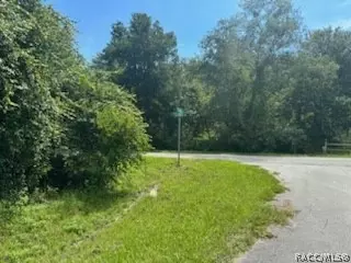 3564 E Foliage Ln, Hernando, FL 34442 photo 1