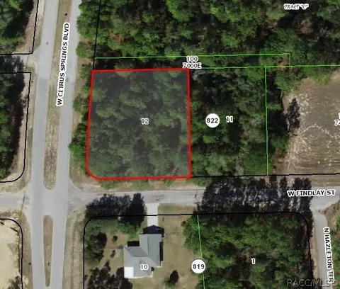 4081 W Findlay St, Citrus Springs, FL 34433