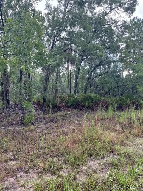883 W Hauger Pl, Dunnellon, FL 34434