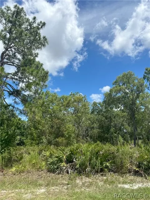 5 Pawpaw Ct N, Homosassa, FL 34446