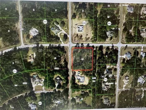 4277 N Hatchet Cir, Beverly Hills, FL 34465