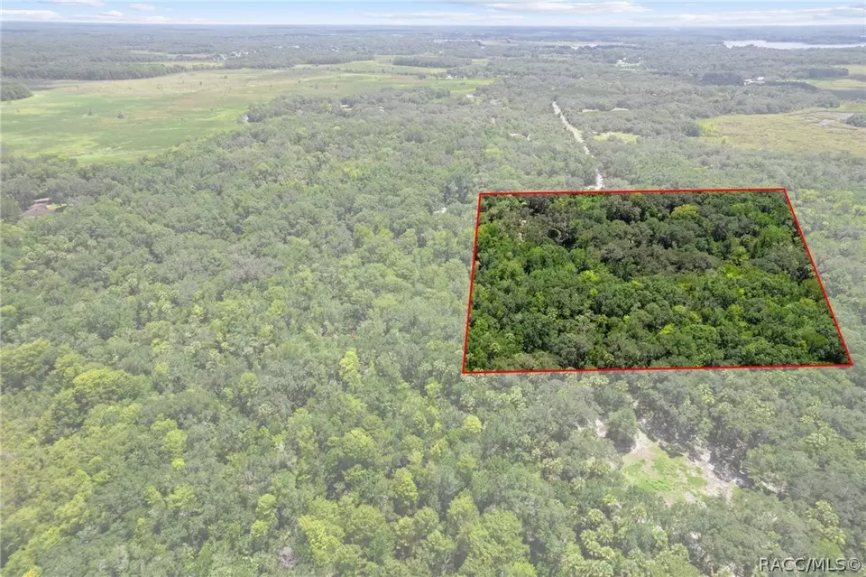  9215 E Roan Ln, Inverness, FL 34450 photo 44