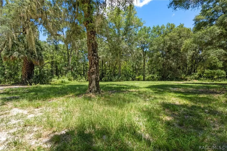  9215 E Roan Ln, Inverness, FL 34450 photo 55