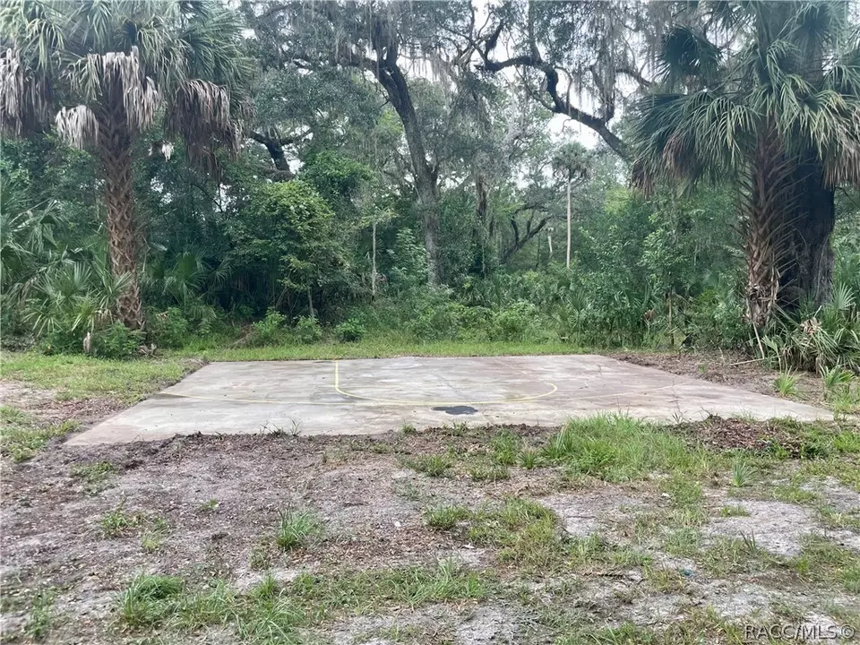  9215 E Roan Ln, Inverness, FL 34450 photo 43