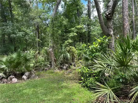 3990 SE 77th Pl, Inglis, FL 34449 photo 4
