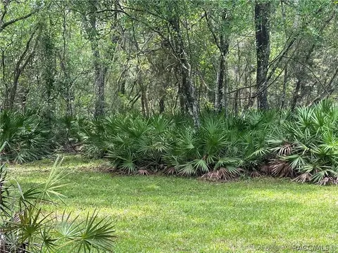 3990 SE 77th Pl, Inglis, FL 34449 photo 5